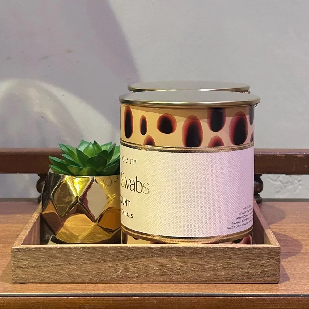 Livegreen Cotton Pads & Cotton Swabs Set with Faux Succulent And Wood Tray NWTS